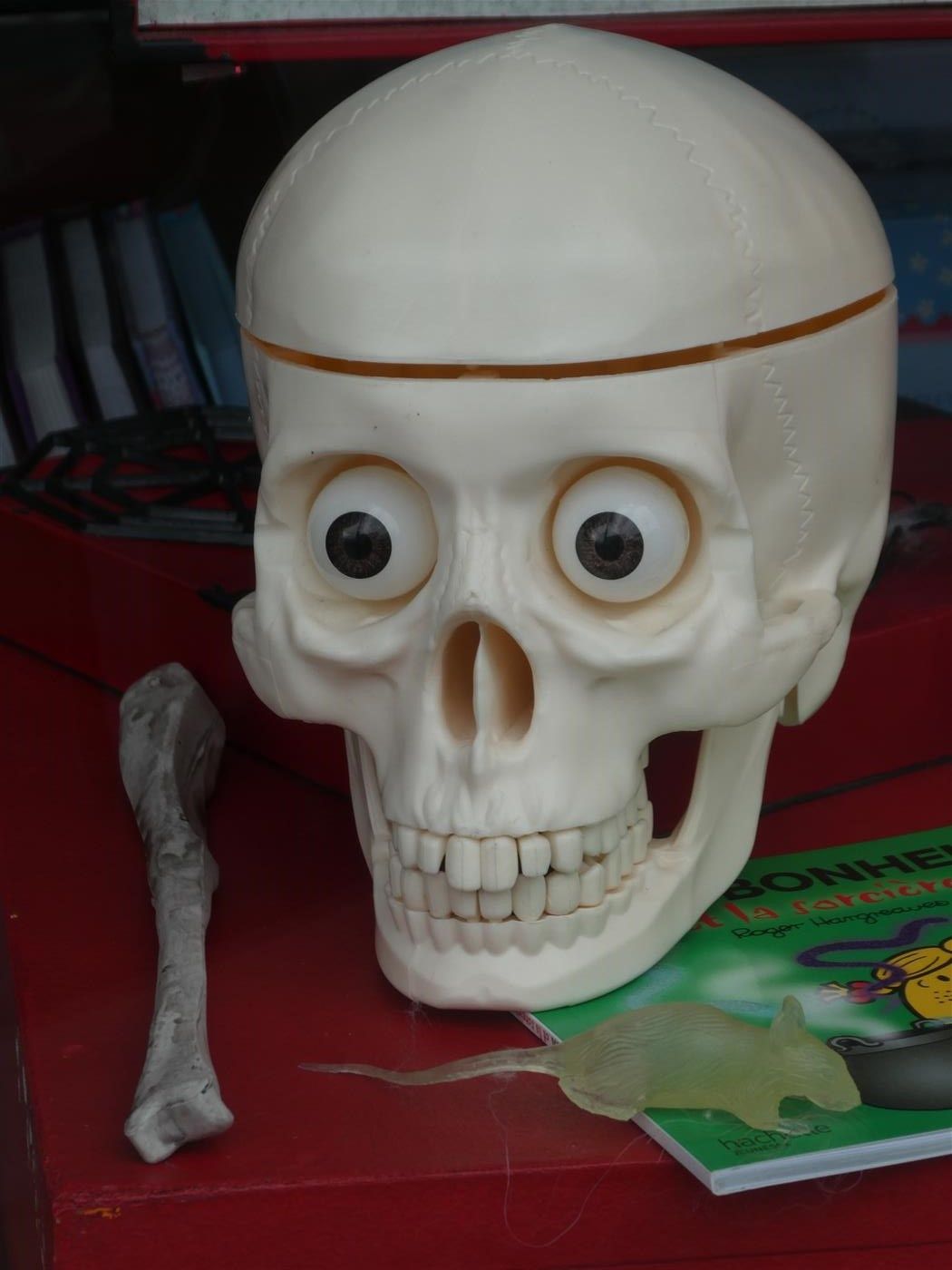 Endroit très accueillant que cette librairie à La Varenne...On y rencontre le chat de Faustine une charmante libraire toujours souriante et à la disposition des visiteurs. En ce moment ,vitrines Halloween.Seul bémol pour les clients éloignés, le prix du parking local en ville ( 3,20 euros /heure) qui devient dissuasif...