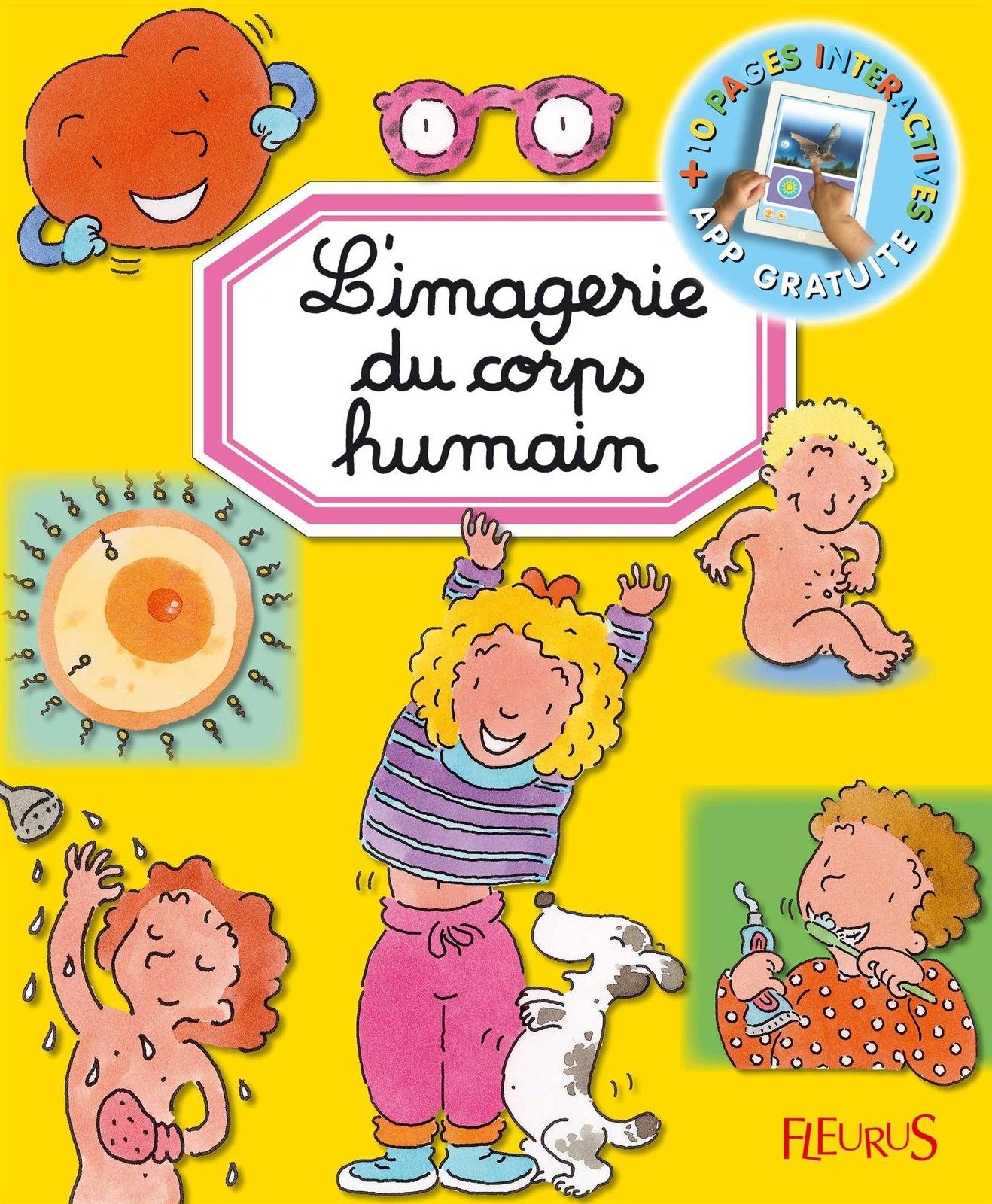 L'imagerie du corps humain