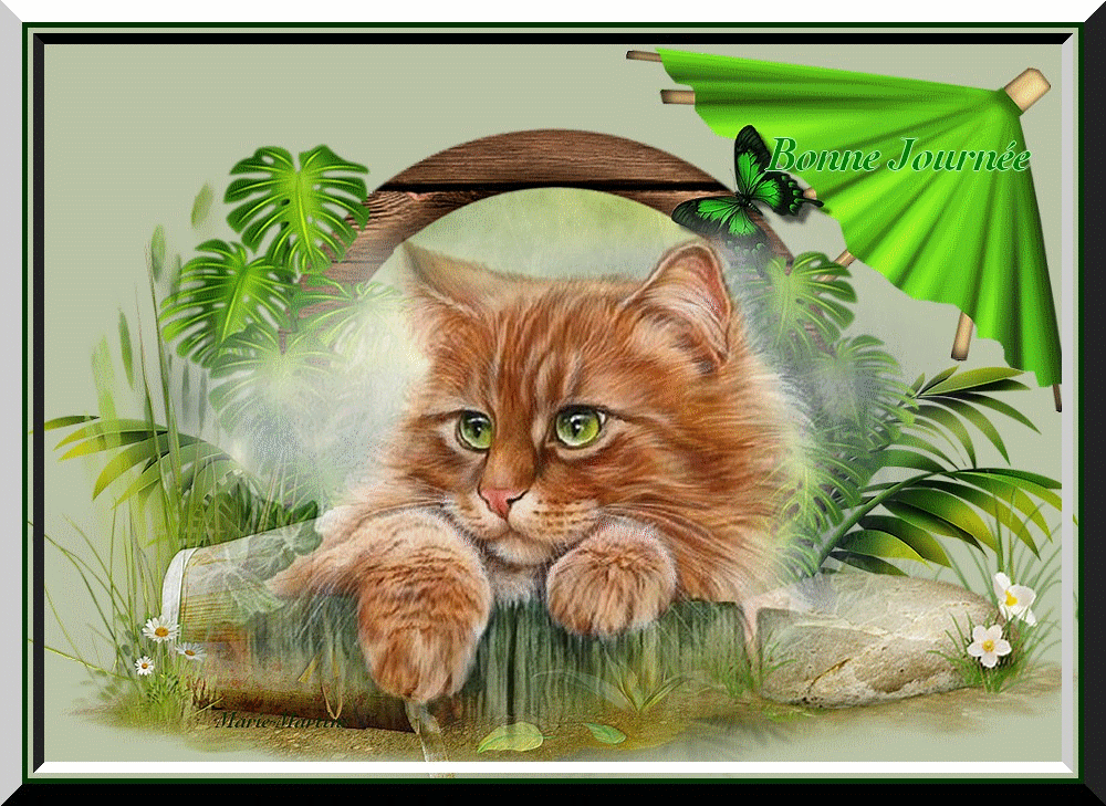 Q Tbn And9gcq2dxj 968ui302dg Schn92obhnbl12zdemq Usqp Cau