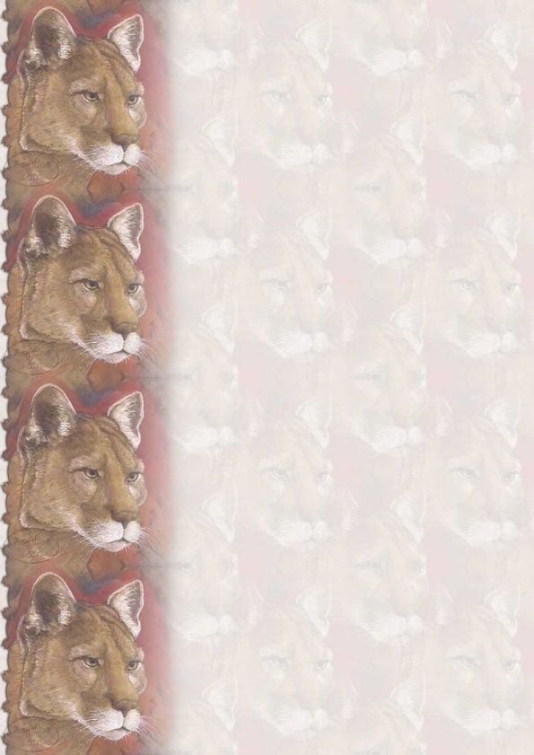 âne sauvage 6 lettres