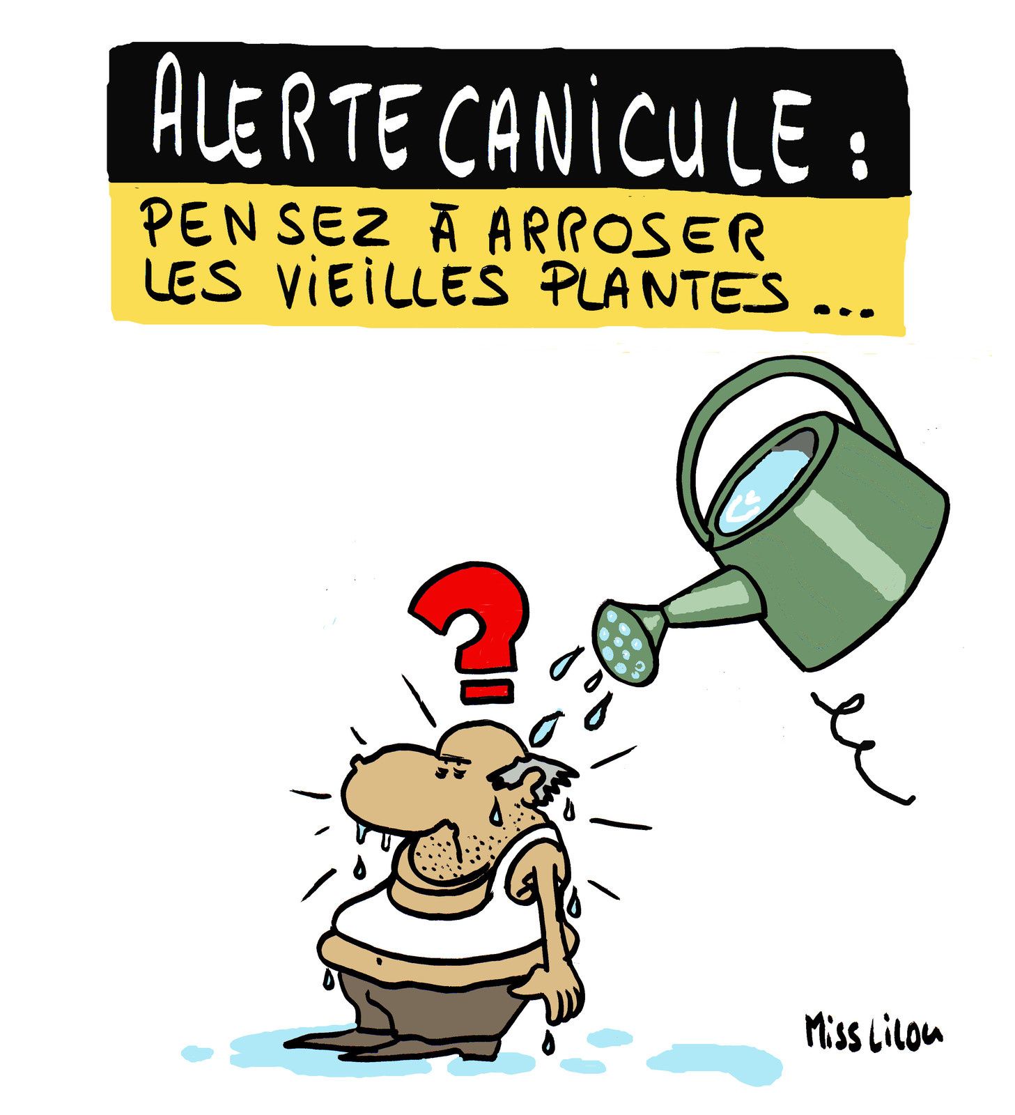 Alerte Canicule Pensez A Arroser Les Vieilles Plantes Dessins Miss Lilou