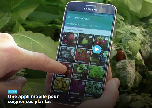 Une application pour soigner ses plantes
