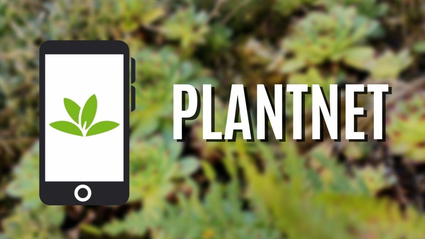 PlantNet
