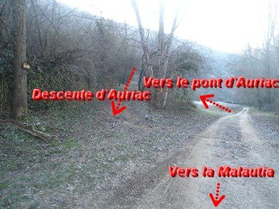 Auriac, Saint Rome de Tarn, 12490, Tarn, faïsses, châteaux, randos, village, troglodyte,