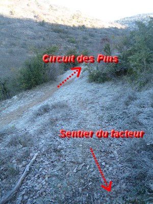Auriac, Saint Rome de Tarn, 12490, Tarn, faïsses, châteaux, randos, village, troglodyte, sentier du facteur