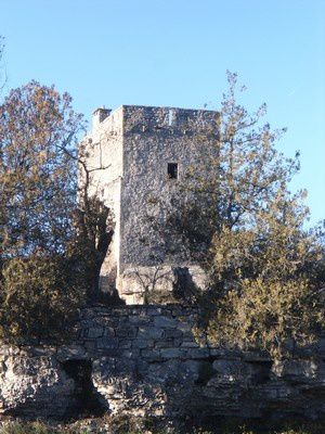 Auriac, Saint Rome de Tarn, 12490, Tarn, faïsses, châteaux, randos, village, troglodyte, Bournhou