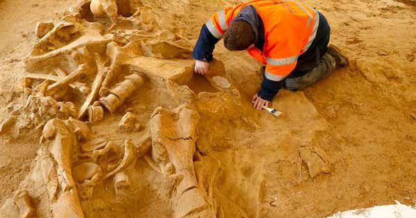Un géant de 5,3 mètres exhumé en Australie 