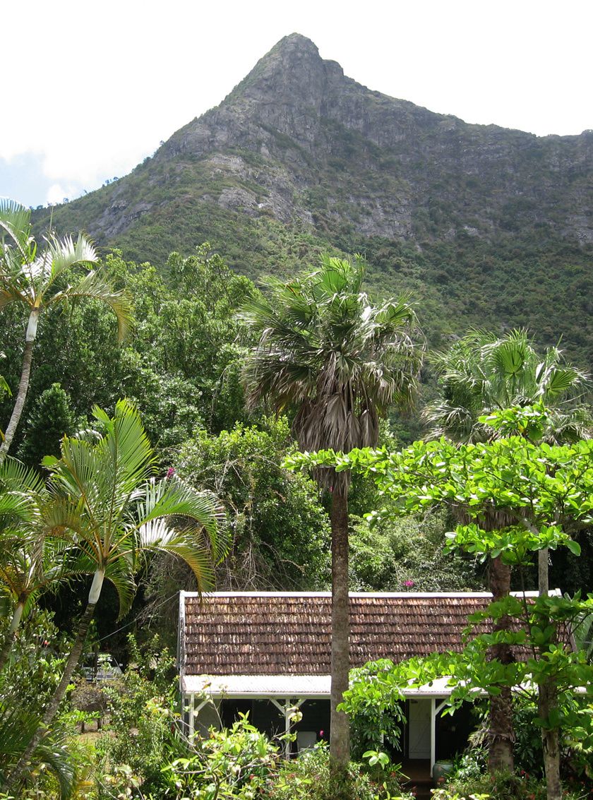 Petite case - Jardin, palmistes et montagne Ory