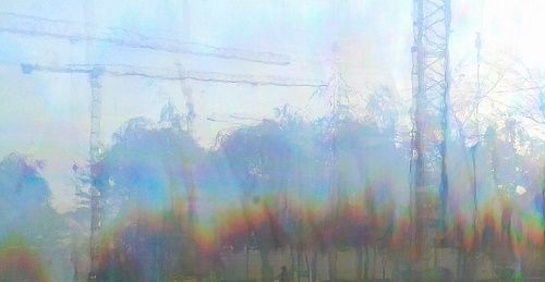 Tronc de grue à la toile d'araignée sur fond d'arbres