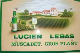 CR n°27 du 21 décembre 2008 le vignoble