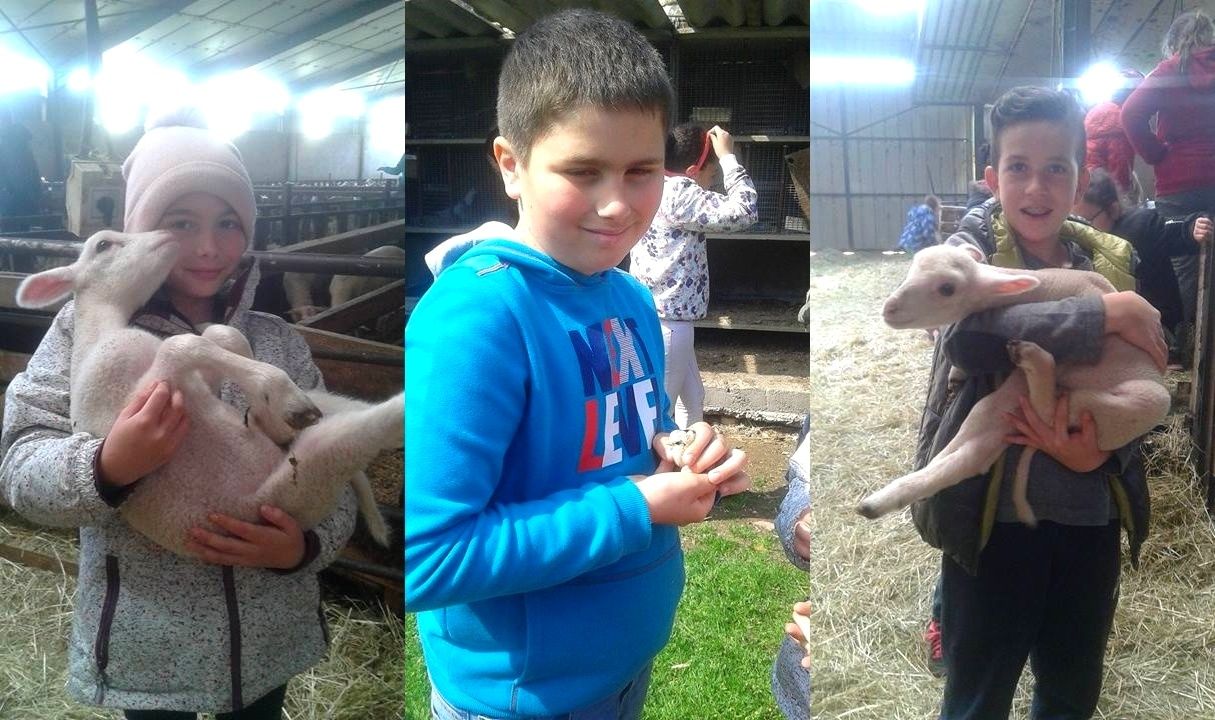 La Courbe - Printemps 2017 : Mercredi 5 avril