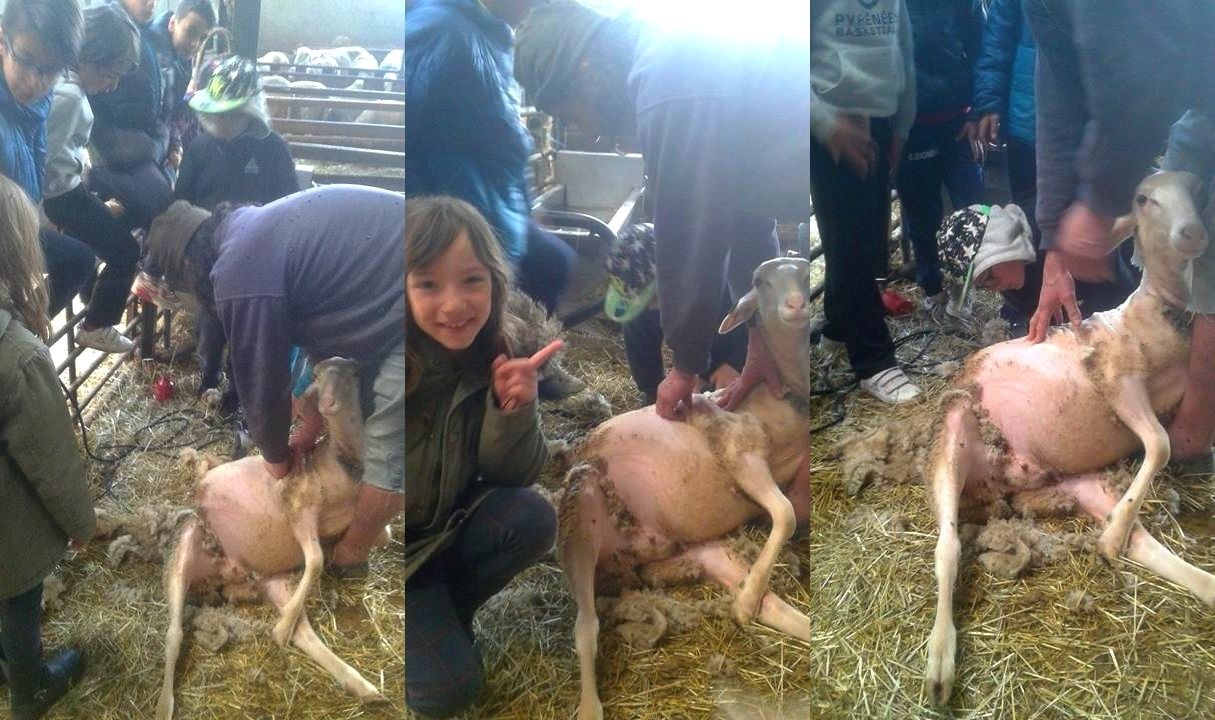 La Courbe - Printemps 2017 : Mercredi 5 avril