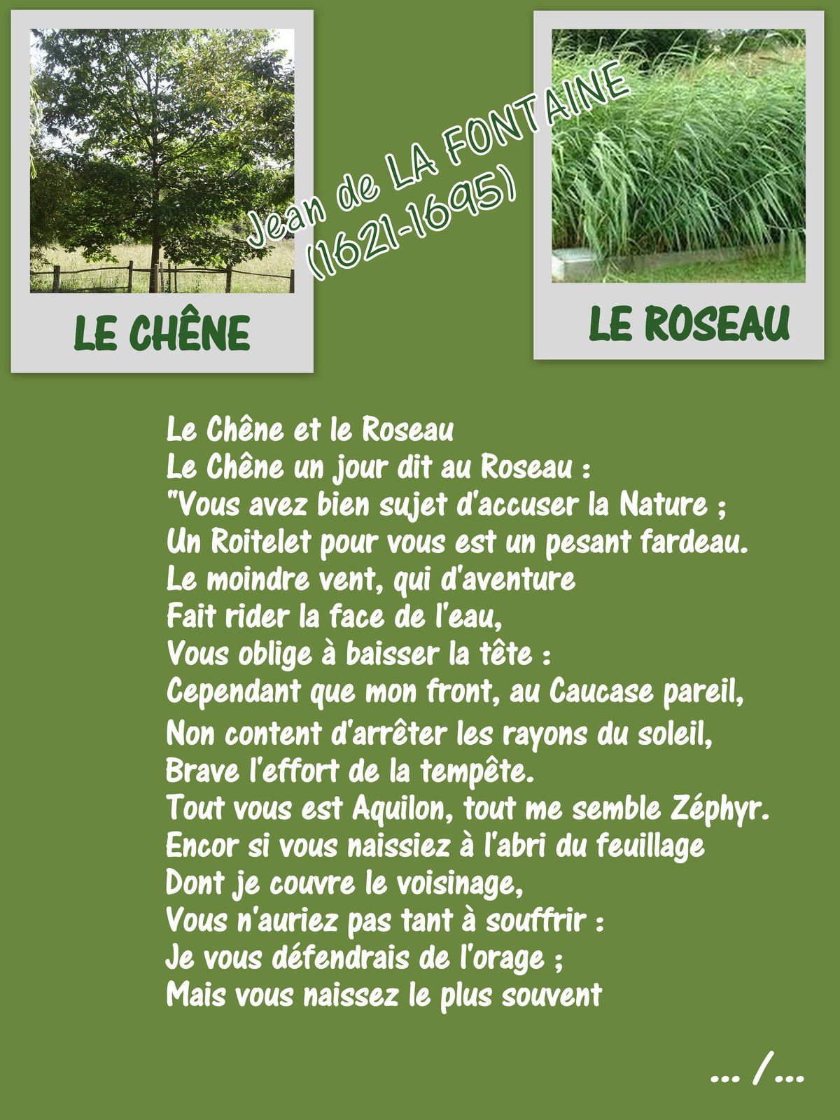LE CHÊNE ET LE ROSEAU Fable Jean de La Fontaine -