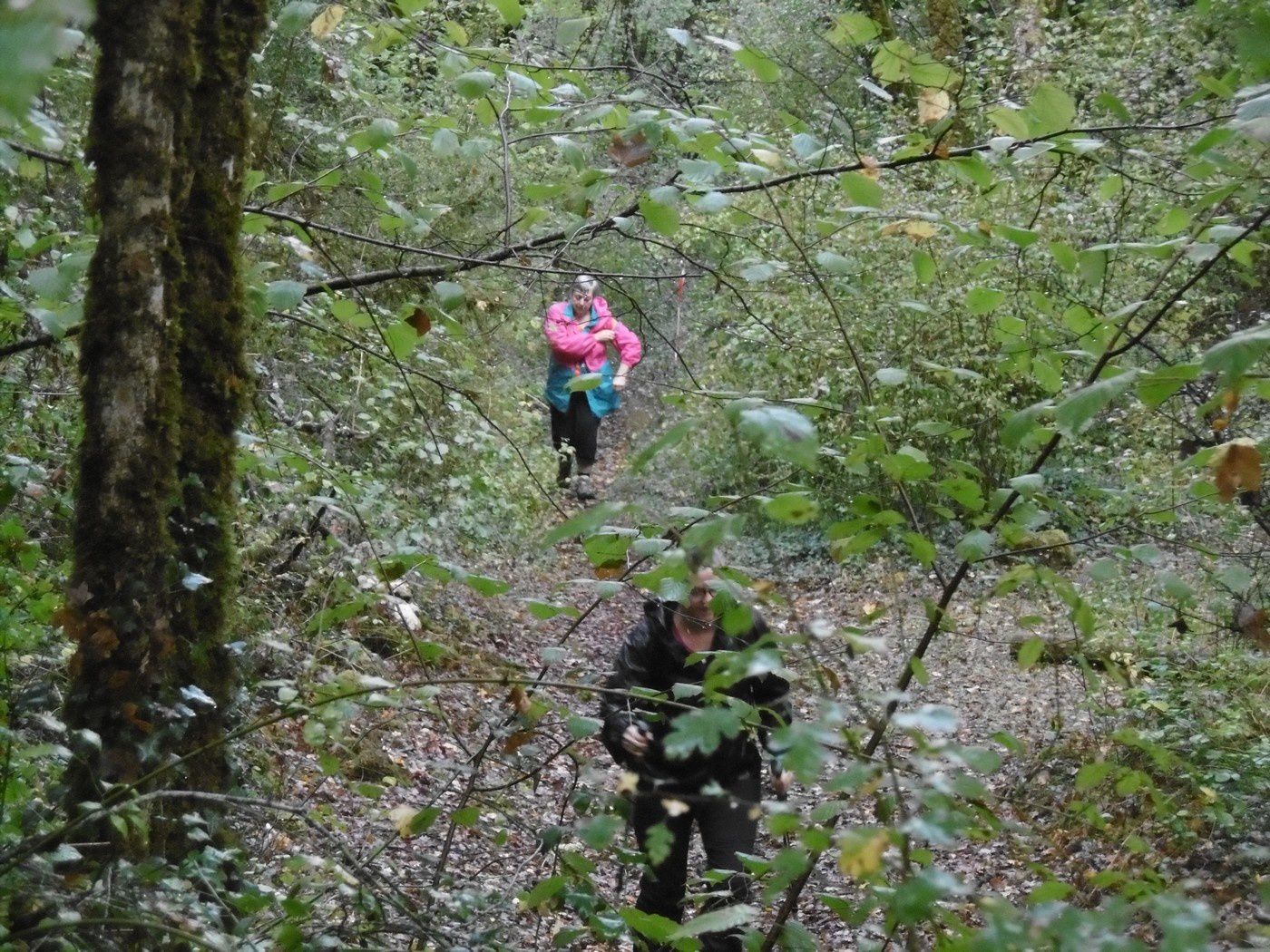 Photos rando Fouquebrune 2017