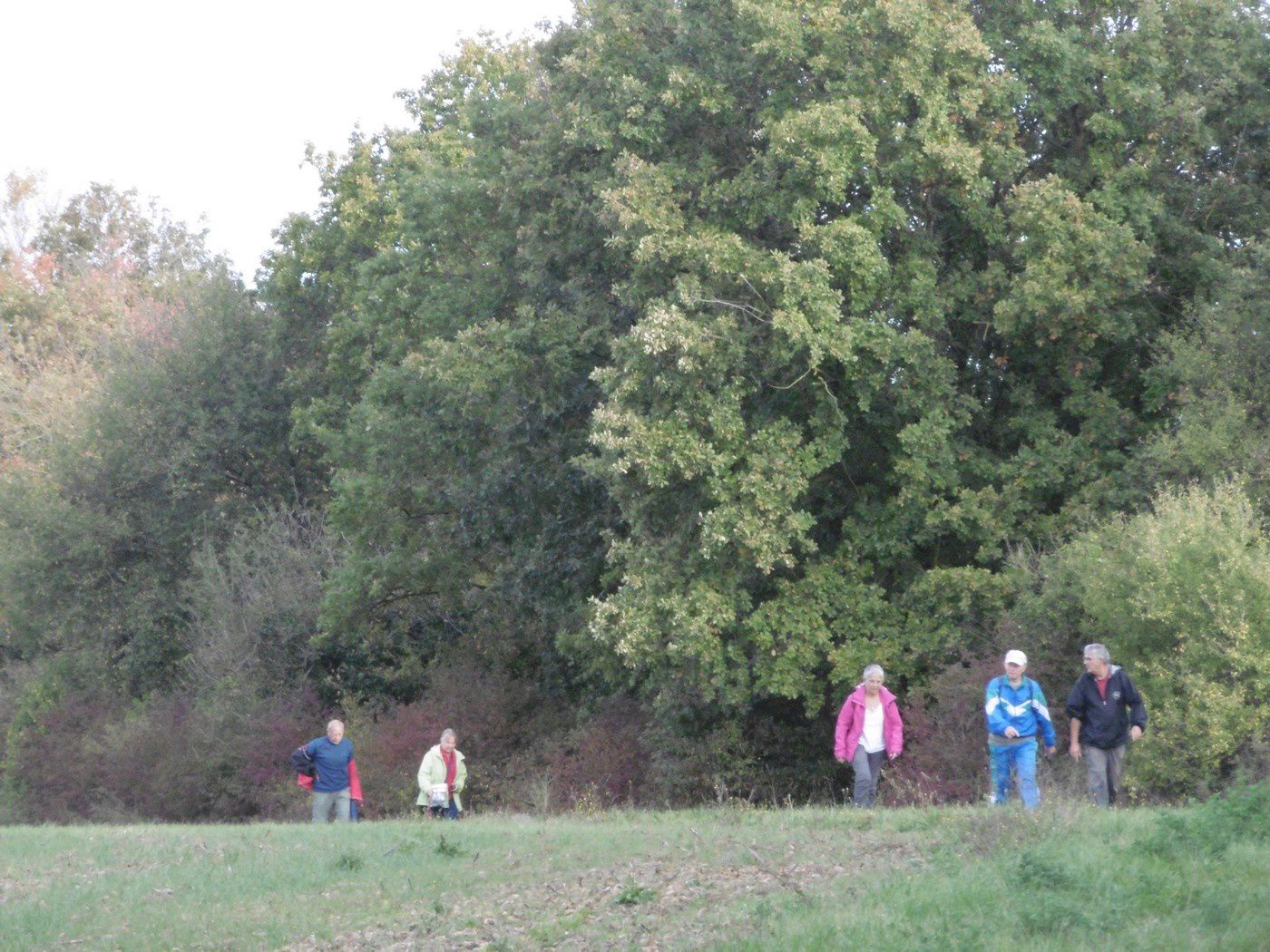 Photos rando Fouquebrune 2017