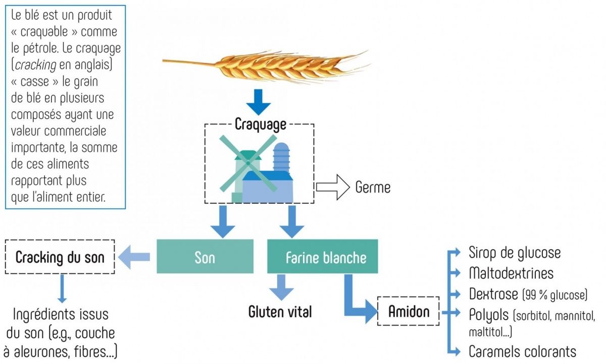 LES FAUX ALIMENTS PROVOQUENT DE VRAIES MALADIES...."Les produits ultra-transformés sont le fruit de l’approche réductionniste" : cela commence donc par les idéologies de l’irrationnel - celles qui supportent, notamment, le « profit à n’importe quel »…et pas de discussions, en rangs et …maaaarchez ! Ce sont ces idéologies qui commencent par nous…empoisonner le corps !