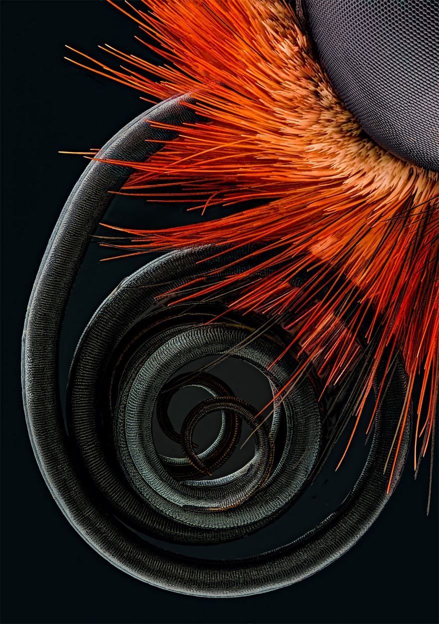 Traverser ce qui va de travers ?