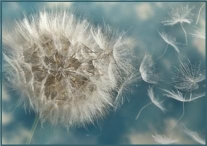 Nombreux tiraillements/énervements qui risquent de se mettre en travers de nos chemins ? Bon on traverse de travers…