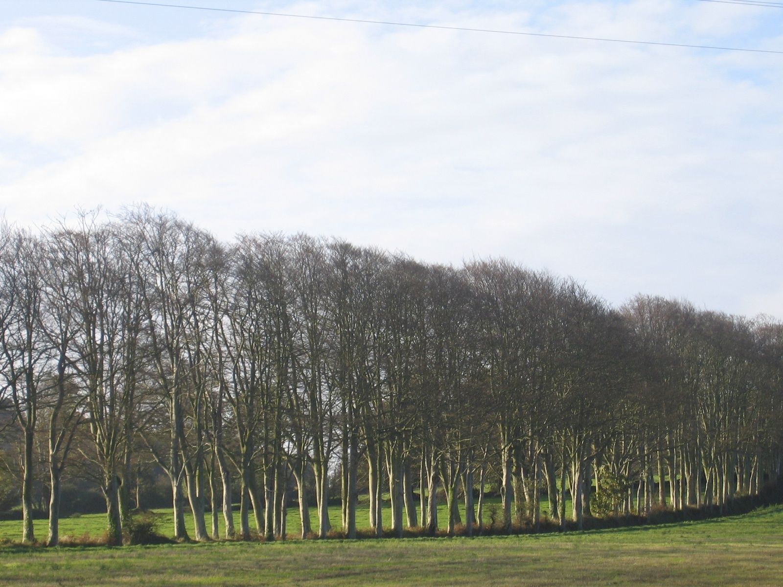 Une tringle bien plus énorme…