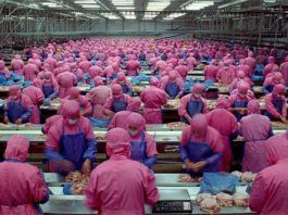 Qu’est-ce qui ne va pas chez eux ?