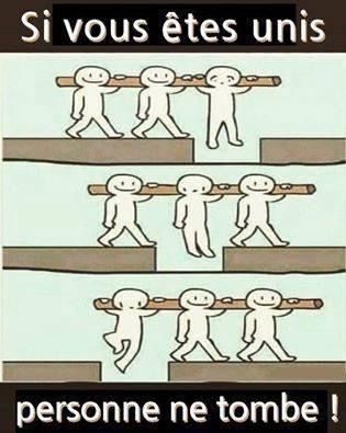 Qui ne font aucuns efforts afin de comprendre ?