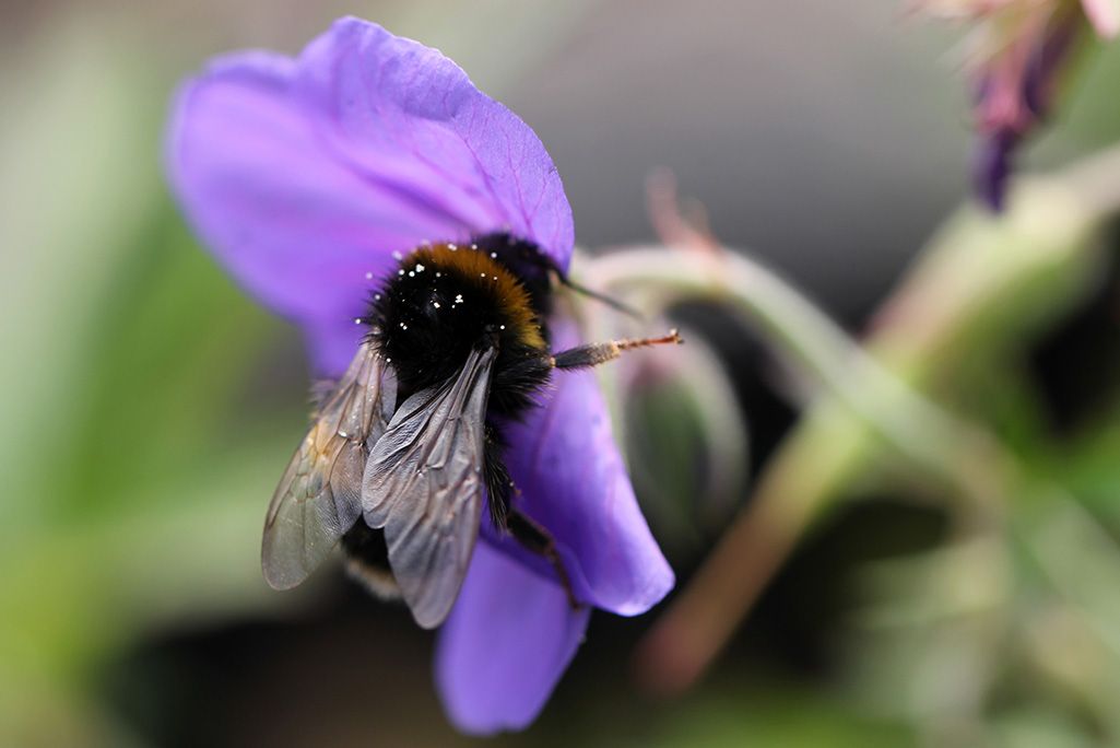 Arrêts aux libertés folles d’entreprendre impunément