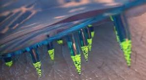 Derrière les Propagandes ?