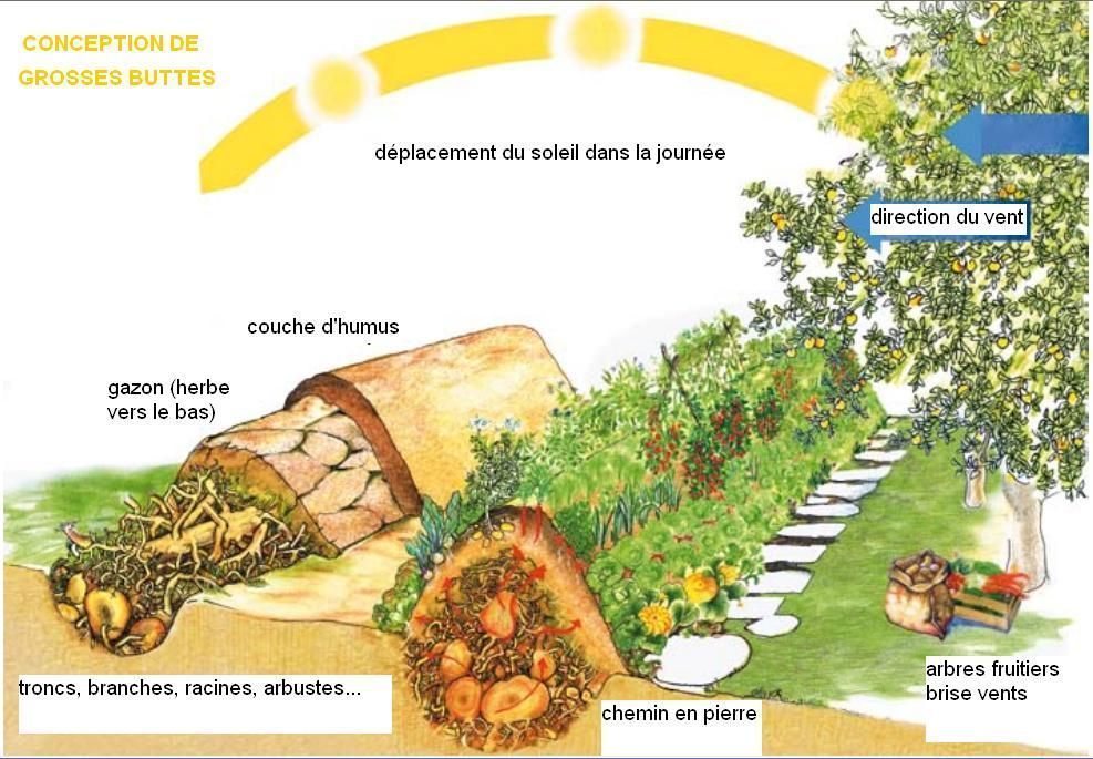 tiré de...“Buttes de cultures, buttes de permaculture, sont-elles une alternative à la crise agricole?”