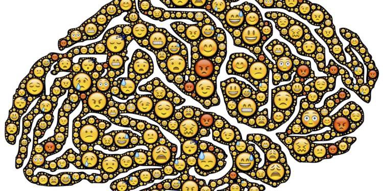 Ils ont fait des pièges leurs sièges