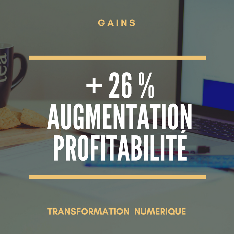 Gains Augmentation Profitabilité Transformation Numérique pour les entreprises TPE / PME