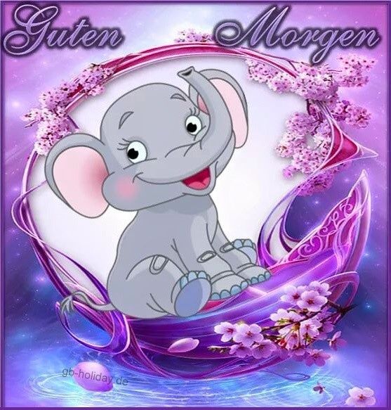 Und schon wieder Sonntag Mein Blog mein Leben mit Tieren