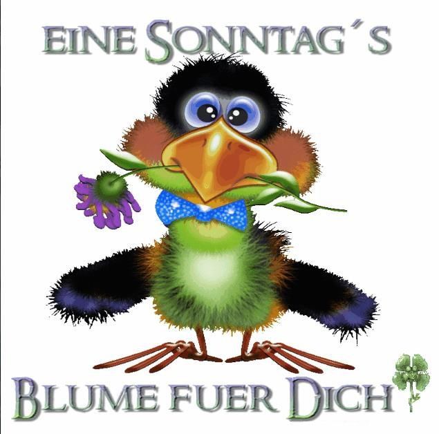 Und schon wieder Sonntag Mein Blog mein Leben mit Tieren