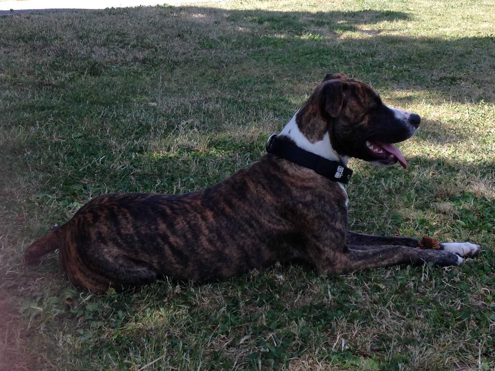 Ca faisait longtemps !