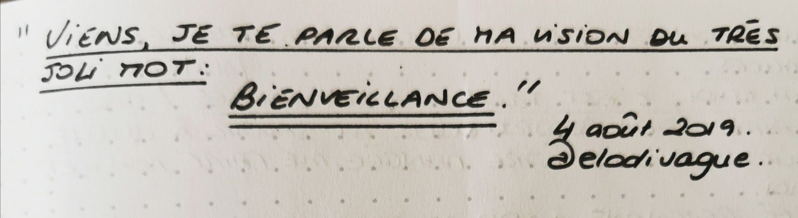 Un peu de moi, beaucoup de bienveillance, dans mon carnet @elodivague sans filtre ni retouche 