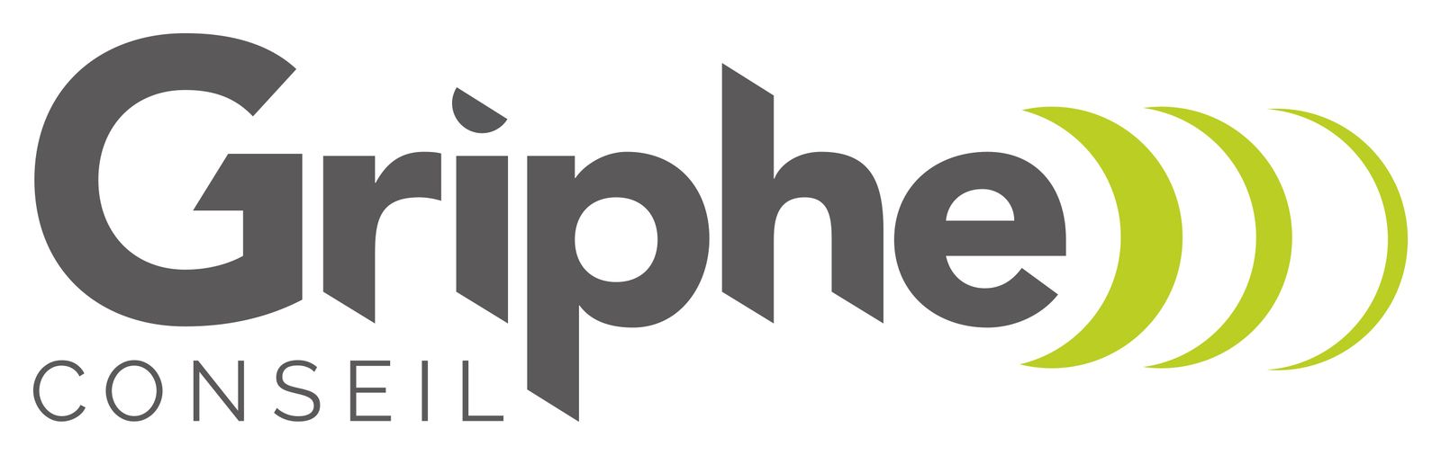 Expertise et pragmatisme réunis : GRIPHE Conseil