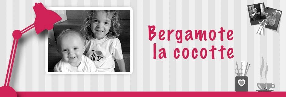 Liste De Ce Qu Il Faut Acheter Pour L Arrivee De Bebe Bergamote La Cocotte Liste De Ce Qu Il Faut Acheter Pour L Arrivee De Bebe Bergamote La Cocotte