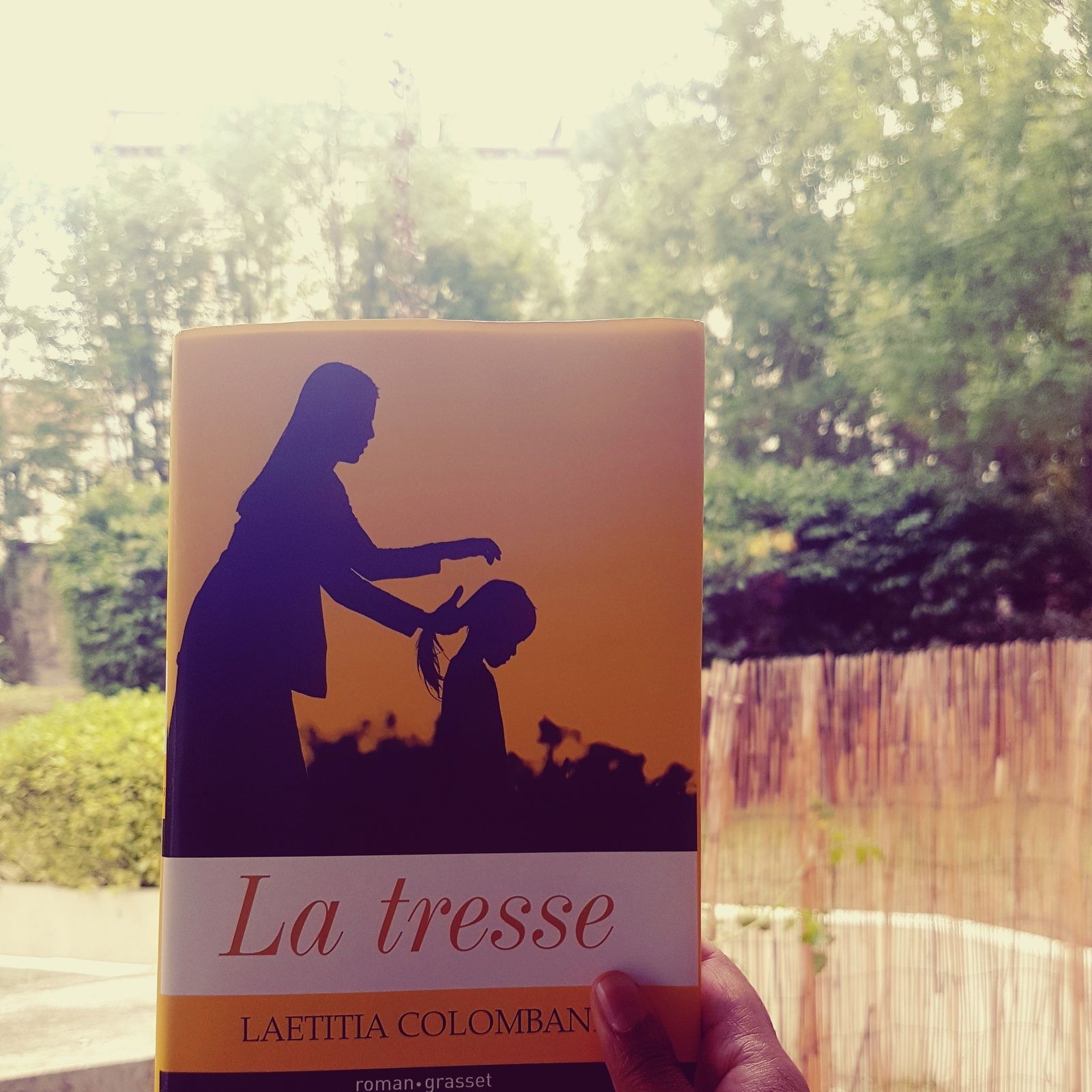 La tresse de Laëtitia Colombani