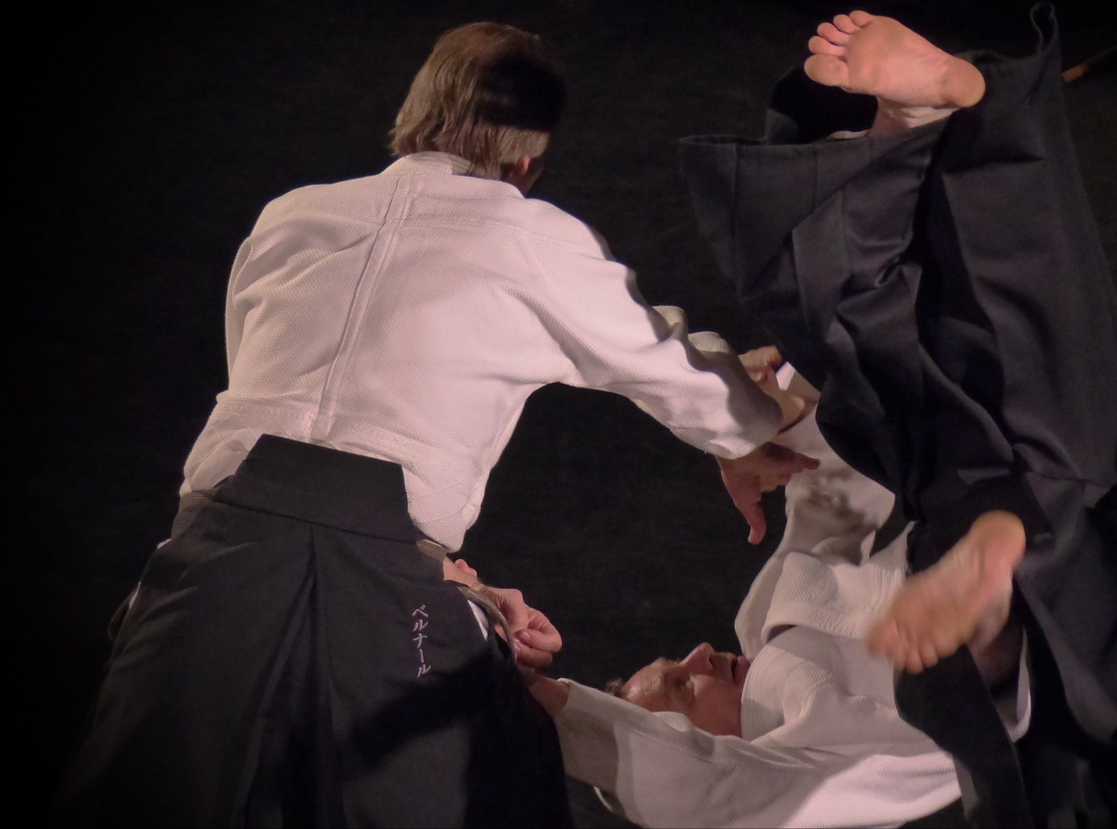 Bernard Palmier Shihan (Photo : Aïki-kohaï)