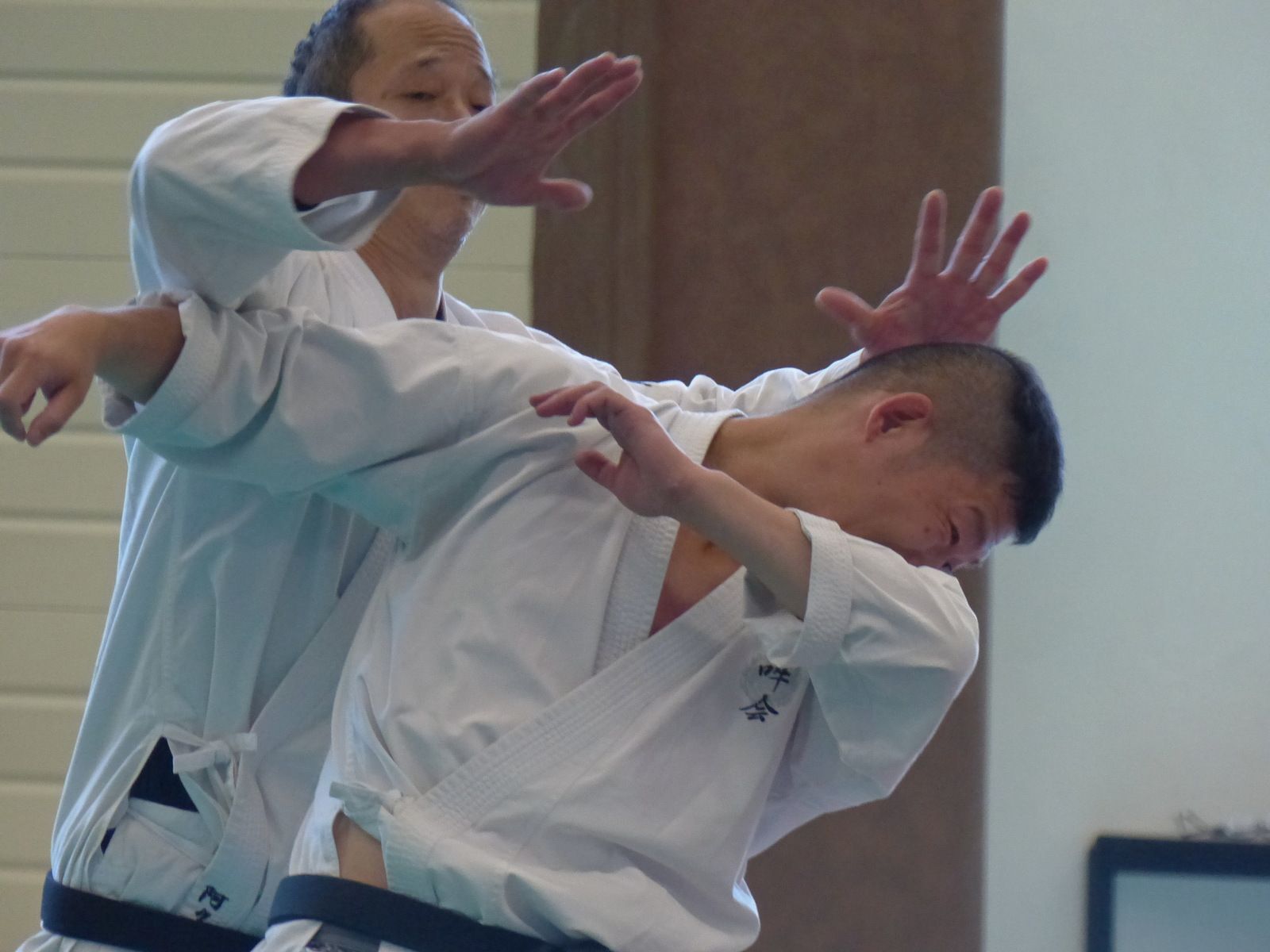 Akuzawa sensei  lors du Taïkaï 2018 (Photographie : Aïki-kohaï)