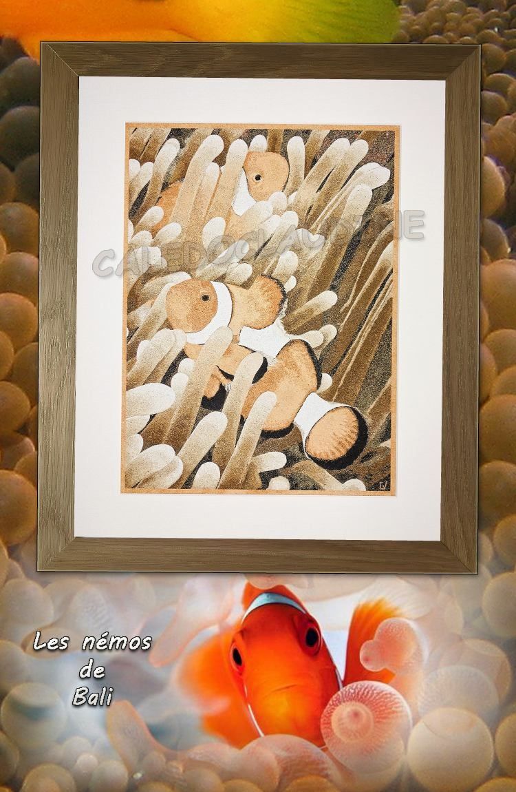 Poissons clown