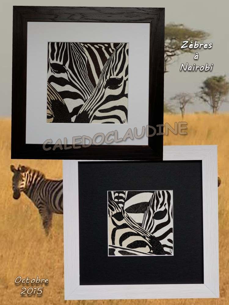Zebres en noir et blanc 