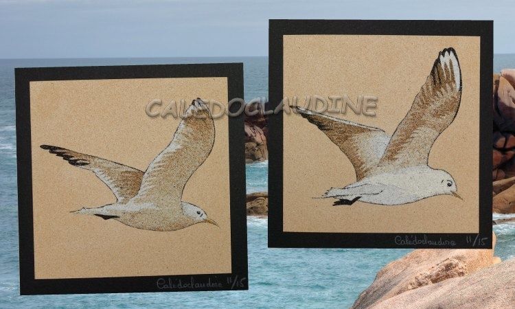 Tableau requin