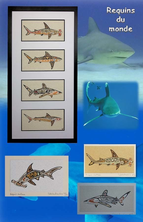 Requins - Shark