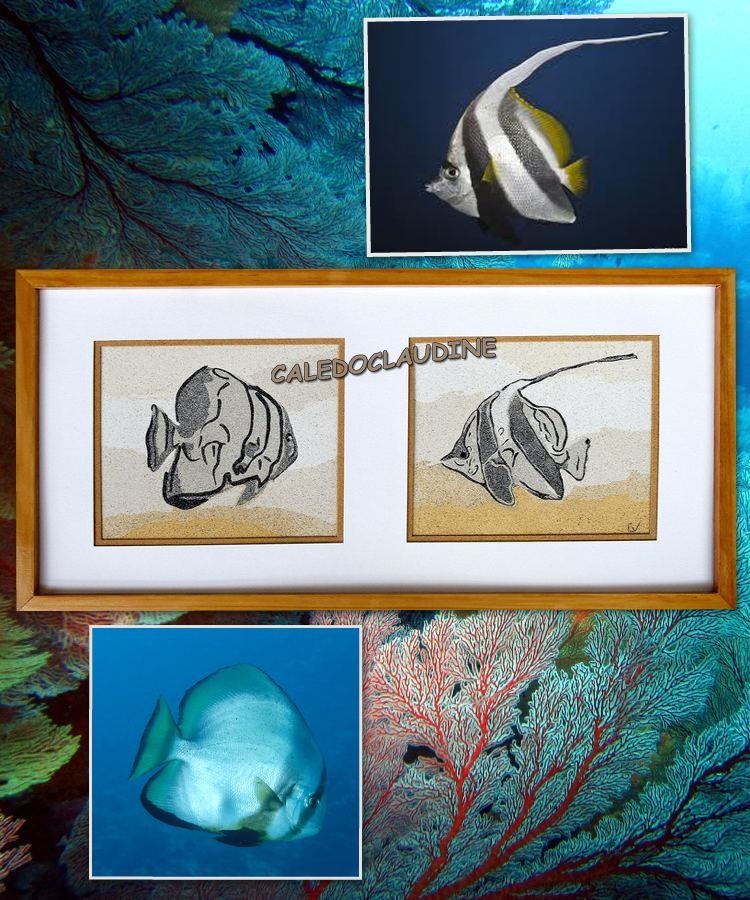 Poissons tropicaux