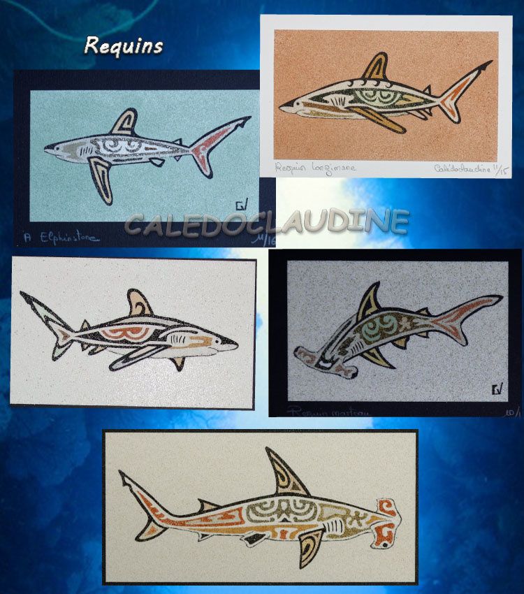 Requins à Elphinstone