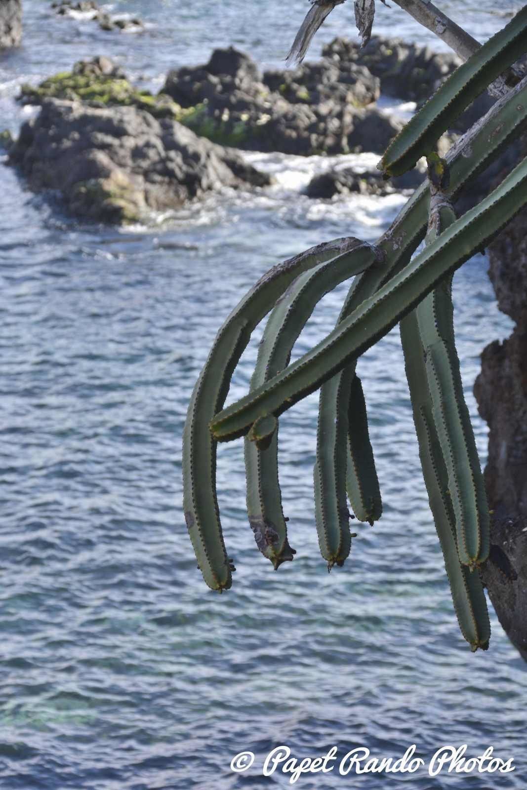 Vraiment beau la nature, quelques heures a attendre, un peu mouillé ( mais quand tu aime tu compte pas, en plus il y a + de 28° ca va)
