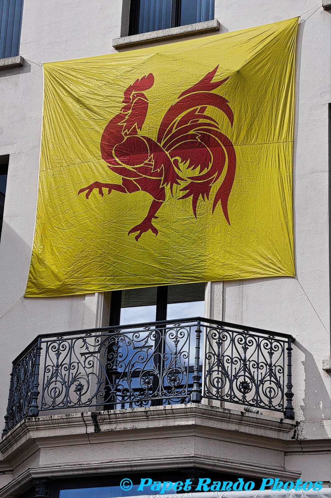 Comme  chaque année une bonne ambiance, VIVE LA WALLONIE, photos Les Celebres Molons, Les Alfers Namurois, La Frairie des Masuis et Cotelis Jambois,Les Alfers,Zouaves de Malonne, Alba Pipe Band 