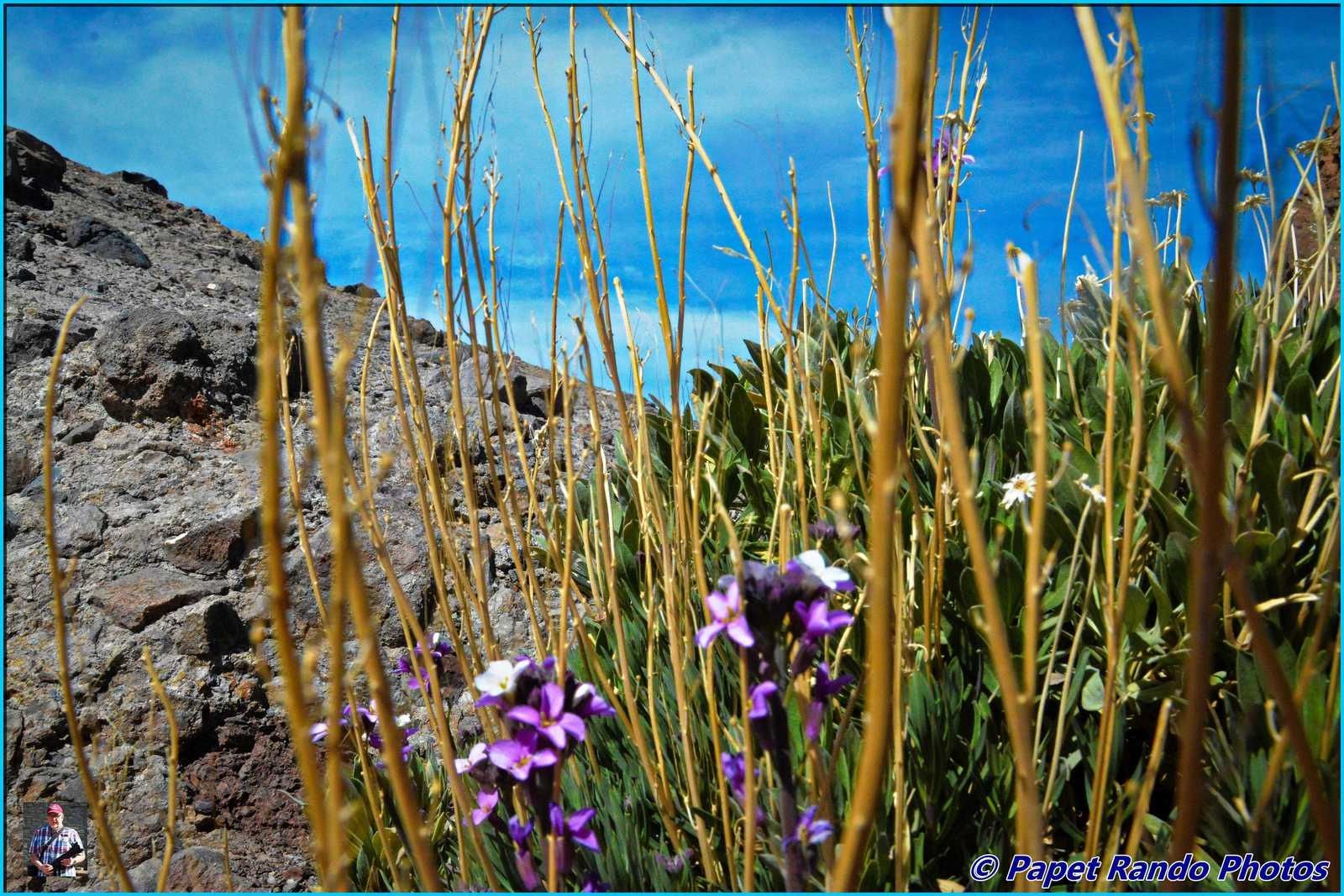 Masca, magnifique petit village de montagne en descendant du Teide a voir, le paradis du photographe & autres 