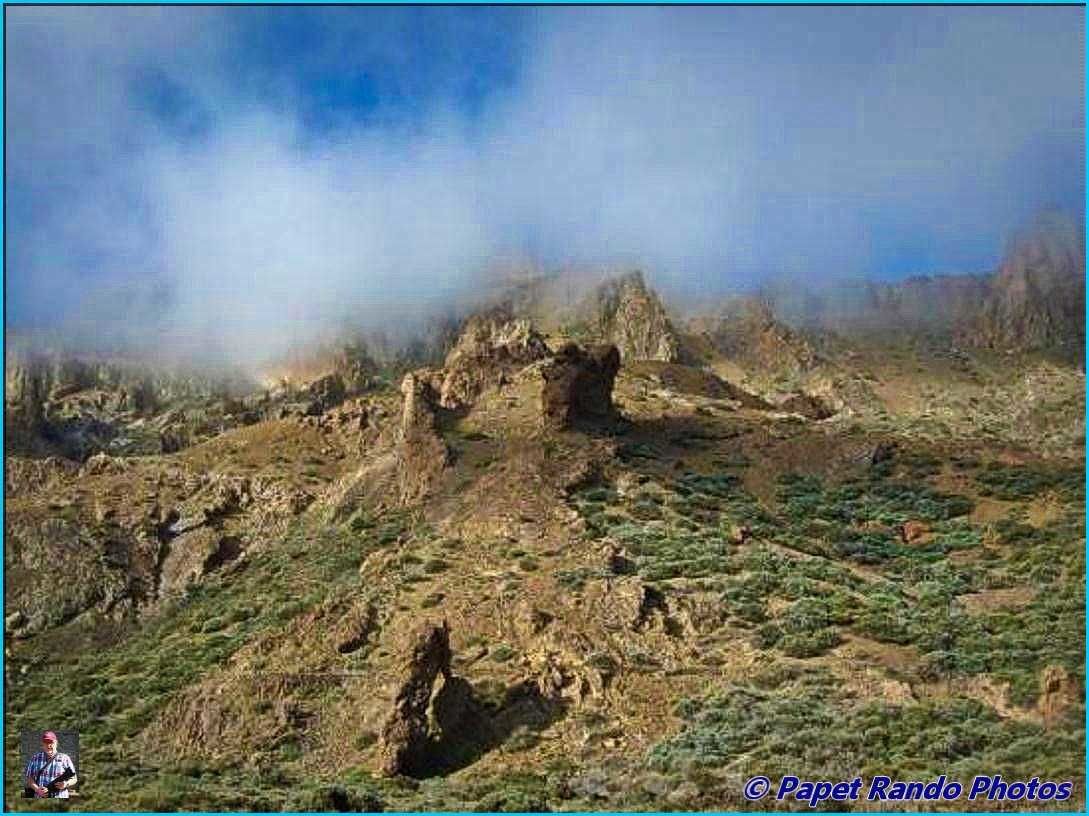 Photos Safari Jeep & a pied,sur 14 ans, Avec les Viperines Rouge une référence du Parc,( en mai, aout, octobre) aussi le cratère du Pico 3134 m , le sommet du Teide 3718 