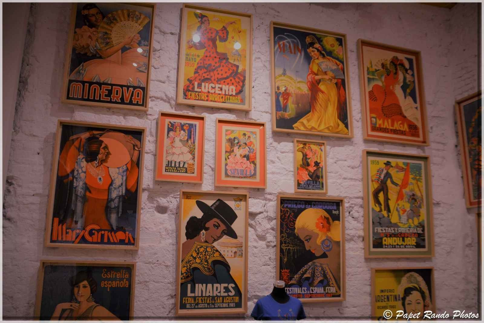 SEVILLE a voir au moins une fois dans votre vie, ville magnifique, bien sur du Flamenco partout, j'y etais aussi pour cela, encore un grand merci aux connaissances du Flamenco pour les bonnes adresses